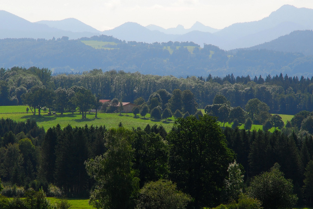 Umgebung 